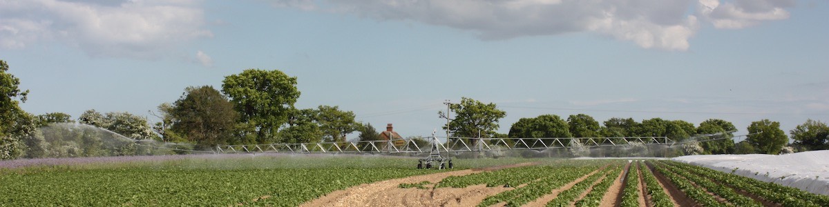 Irrivgation boom in action at Home Farm Nacton